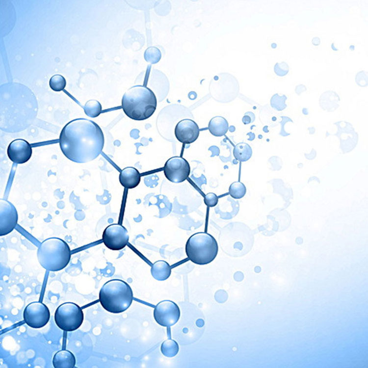 خوراک میں سوڈیم Hyaluronate کا کردار